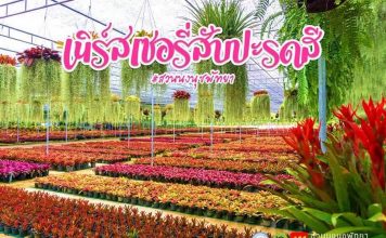 จังหวัดชลบุรี สวนนงนุชพัทยาเปิดให้บริการแล้ว